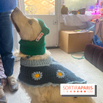 CAYU Canidés Club, la boutique d'accessoires dog friendly - nos photos