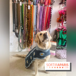 CAYU Canidés Club, la boutique d'accessoires dog friendly - nos photos