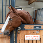 Bo Ranch, le restaurant - bar, site événementiel et lieu de compétition de Reining -  écuries - cheval