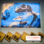 Exposition Faits divers : quand l'art contemporain raconte le crime au MAC-VAL - photos