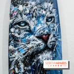 Boards to be solidaire 2024, nos photos - IMG 6873