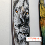 Boards to be solidaire 2024, nos photos - IMG 6875