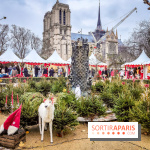 Le Marché de Noël de Notre Dame