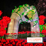 L'Odyssée Lumineuse 2024, le parcours de lumières au Parc Floral - les photos - Amour - roses