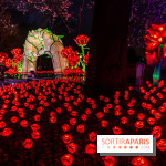 L'Odyssée Lumineuse 2024, le parcours de lumières au Parc Floral - les photos -  Champs de roses