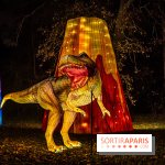 L'Odyssée Lumineuse 2024, le parcours de lumières au Parc Floral - les photos -  dinosaure