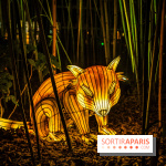 L'Odyssée Lumineuse 2024, le parcours de lumières au Parc Floral - les photos -  pandas roux