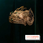 Bijoux de scène de l'Opéra de Paris : l'exposition de parures merveilleuses au Palais Garnier - IMG 2418 jpg