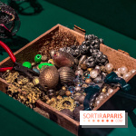 Bijoux de scène de l'Opéra de Paris : l'exposition de parures merveilleuses au Palais Garnier