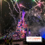 Disney ❤ Notre-Dame de Paris - IMG 1691