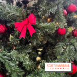 Noël au Jardin d'Acclimatation 2024  - image00029