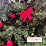 Noël au Jardin d'Acclimatation 2024  - image00030