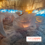 L'océan de Léa, l'exposition événement à la patinoire de Saint-Ouen - nos photos - image00042