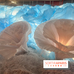 L'océan de Léa, l'exposition événement à la patinoire de Saint-Ouen - nos photos - image00044