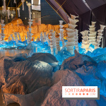 L'océan de Léa, l'exposition événement à la patinoire de Saint-Ouen - nos photos - image00024