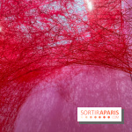 The Soul Trembles - IMG 7619