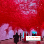 The Soul Trembles - IMG 7628