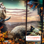 Musée de la chasse et de la nature - collections permanentes et visuels