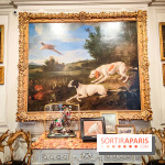 Musée de la chasse et de la nature - collections permanentes et visuels
