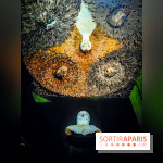 Musée de la chasse et de la nature - collections permanentes et visuels - IMG20241209151300