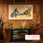 S'éclairer sans fin : l'exposition poétique d'Edi Dubien au musée de la Chasse et de la Nature - photos - IMG20241209151516