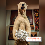 S'éclairer sans fin : l'exposition poétique d'Edi Dubien au musée de la Chasse et de la Nature - photos - IMG20241209152648