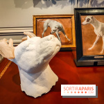 S'éclairer sans fin : l'exposition poétique d'Edi Dubien au musée de la Chasse et de la Nature - photos