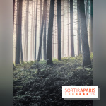 Silence : l'exposition immersive se dévoile à la Cité des Sciences et de l'Industrie - IMG20241210102205