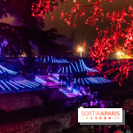 Lueurs de Mantes 2024, le parcours lumineux dans les Yvelines - photos -  A7C9144