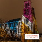 Lueurs de Mantes 2024, le parcours lumineux dans les Yvelines - photos -  A7C9158