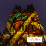 Lueurs de Mantes 2024, le parcours lumineux dans les Yvelines - photos -  A7C9181