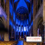 Lueurs de Mantes 2024, le parcours lumineux dans les Yvelines - photos -  A7C9187