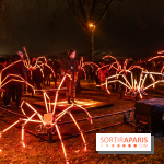Lueurs de Mantes 2024, le parcours lumineux dans les Yvelines - photos -  A7C9206