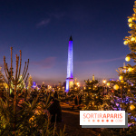 Le Marché de Noël de la Place de la Concorde à Paris -  A7C9422