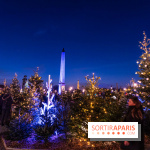 Le Marché de Noël de la Place de la Concorde à Paris -  A7C9428