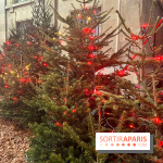 Bel Hiver Saint-Denis 2024 - nos photos - image00020