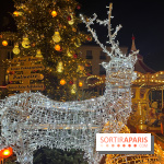 Bel Hiver Saint-Denis 2024 - nos photos - image00004