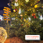 Bel Hiver Saint-Denis 2024 - nos photos - image00005