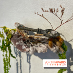 Le Musée d'Art et de Culture Soufis