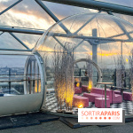 Bulle de rêves : la terrasse d'hiver du restaurant George au sommet du Centre Pompidou - 2