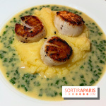 Magnolia - Saint-Jacques, purée