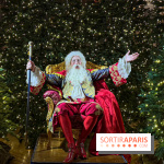 Le Parcours du Roi, la visite-spectacle de Noël 2024 du Château de Versailles - FullSizeRender 29