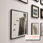 100% paper III, nos photos de l'expo signée Hopare et Urban Signature - Expo Paper 3e   2025   Hopare   16 fotor 20250109155232