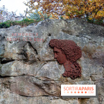 Randonnée à Fontainebleau : le sentier sur les pas de Denecourt jusqu’à la Tour Denecourt -  A7C7555