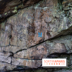 Randonnée à Fontainebleau : le sentier sur les pas de Denecourt jusqu’à la Tour Denecourt -  A7C7559