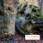 Randonnée à Fontainebleau : le sentier sur les pas de Denecourt jusqu’à la Tour Denecourt -  A7C7560