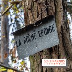 Randonnée à Fontainebleau : le sentier sur les pas de Denecourt jusqu’à la Tour Denecourt -  A7C7572