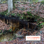 Randonnée à Fontainebleau : le sentier sur les pas de Denecourt jusqu’à la Tour Denecourt -  A7C7576