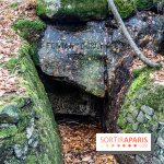 Randonnée à Fontainebleau : le sentier sur les pas de Denecourt jusqu’à la Tour Denecourt -  A7C7580