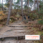Randonnée à Fontainebleau : le sentier sur les pas de Denecourt jusqu’à la Tour Denecourt